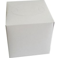 PRO service салфетки косметические, куб, 2 слоя, 80 шт.